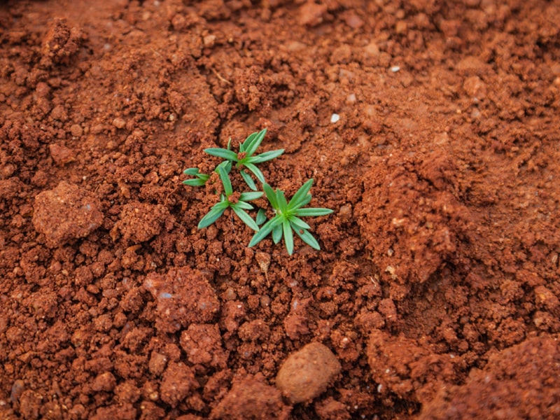 恒美科技：揭開土壤與肥料之間的秘密